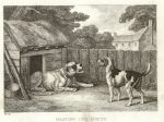 Mastiff and Hound, by Howitt, 1810