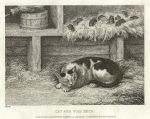 Cat and Mice, by Howitt, 1810