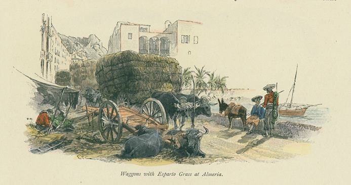 Spain, Malaga, wagons of Esparto Grass at Almeria, 1891