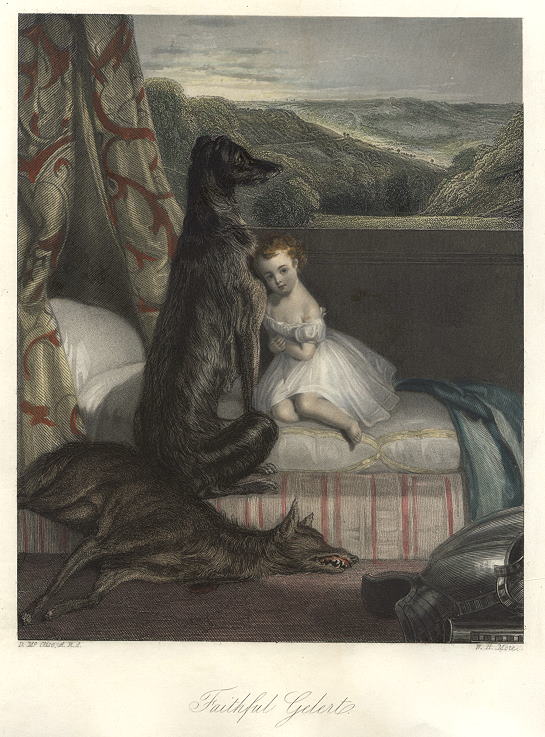 Faithful Gelert (Irish wolf dog), 1850