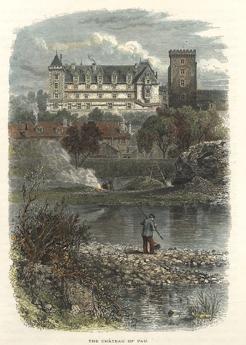 France, Chateau of Pau, 1875