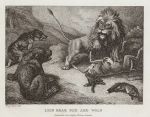 Lion, Bear, Fox & Wolf, by Howitt, 1810