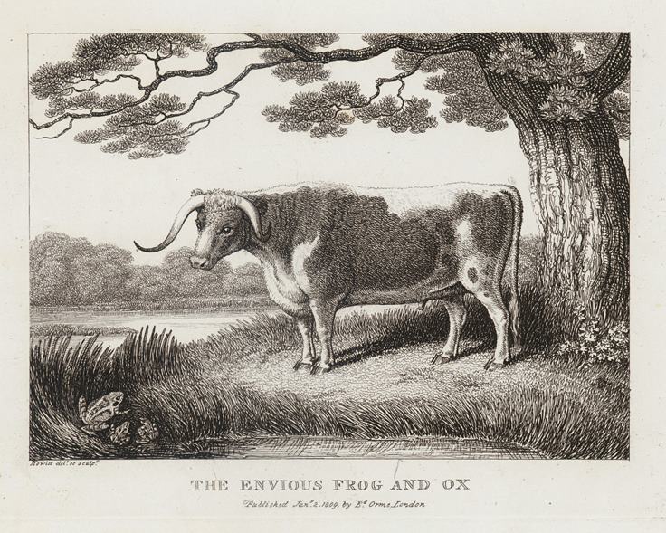 The Envious Frog and Ox, by Howitt, 1810