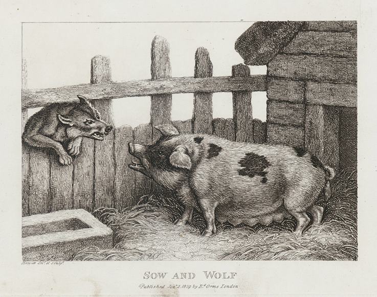 Sow and Wolf, by Howitt, 1810