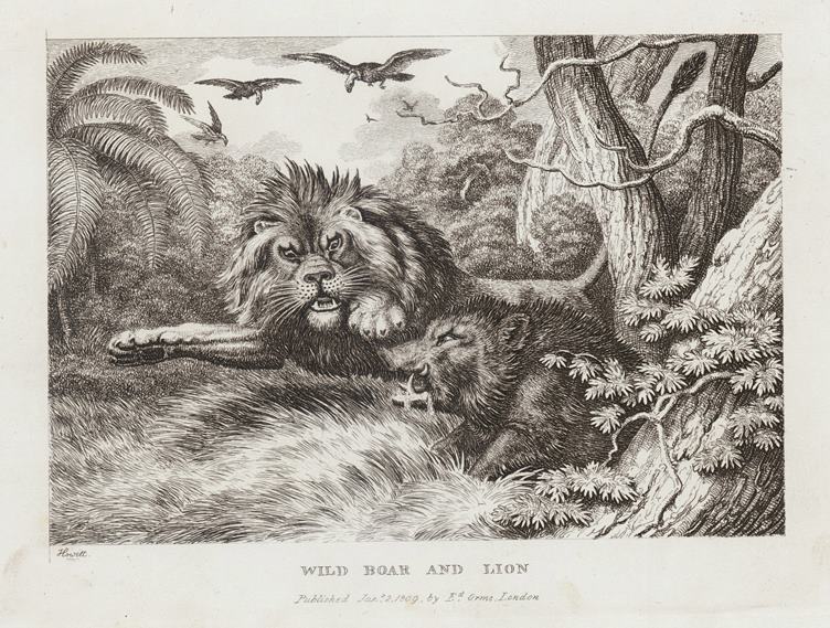 Wild Boar and Lion, by Howitt, 1810