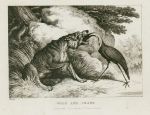 Wolf and Crane, by Howitt, 1810