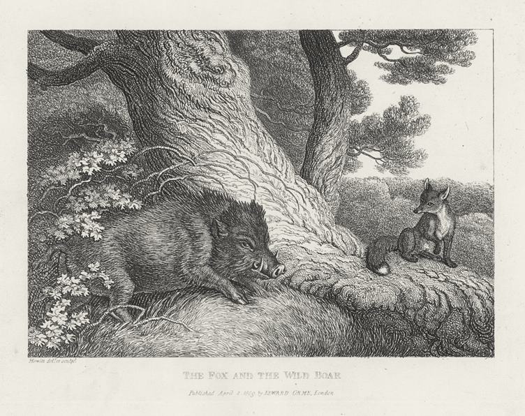 The Fox and the Wild Boar, by Howitt, 1810