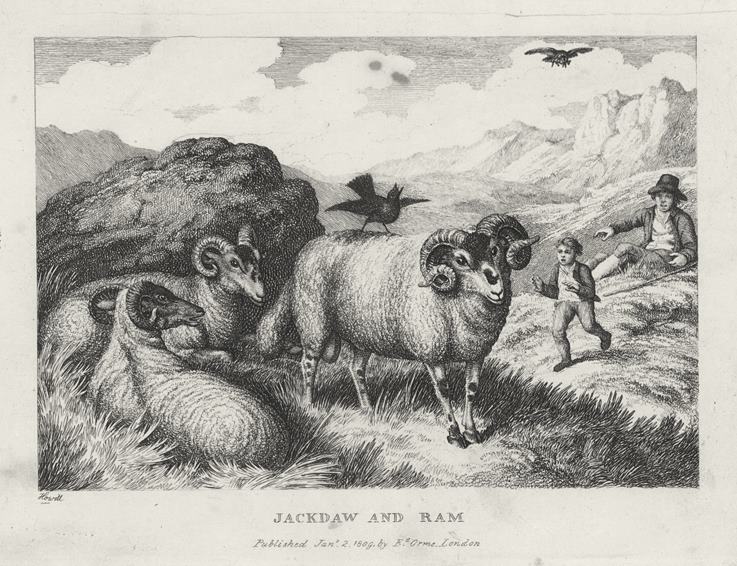 Jackdaw and Ram, by Howitt, 1810