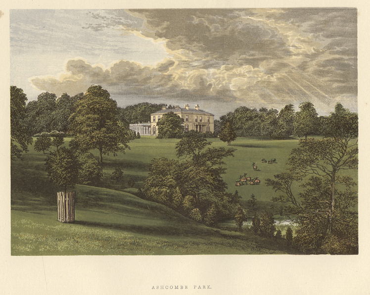 Staffordshire, Ashcombe Park, 1880