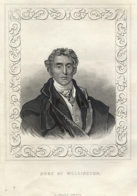 Duke of Wellington portrait, 1848