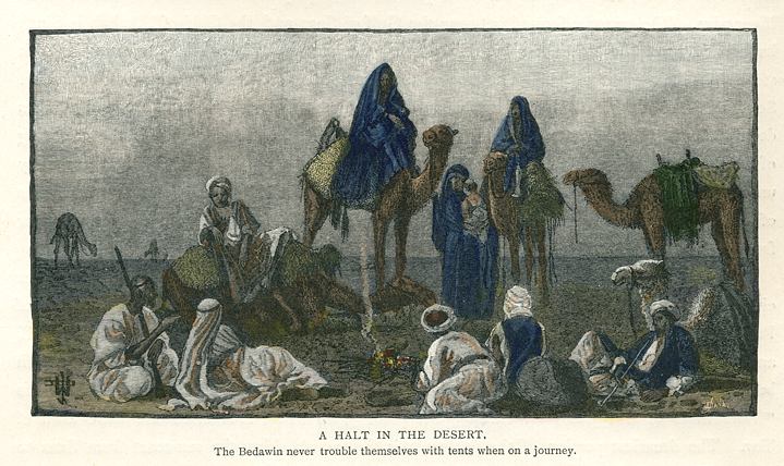 Sinai, Halt in the Desert, 1880