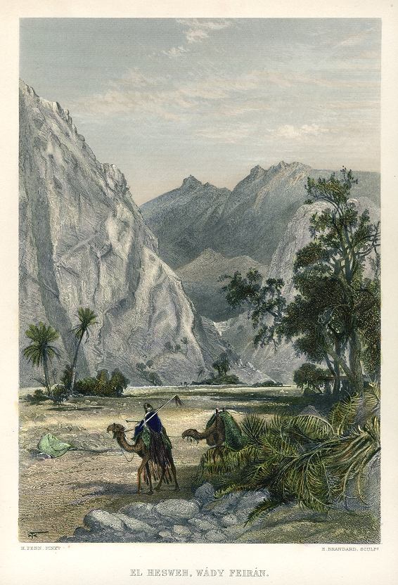 Sinai, El Hesweh, Wady Feiran, 1880