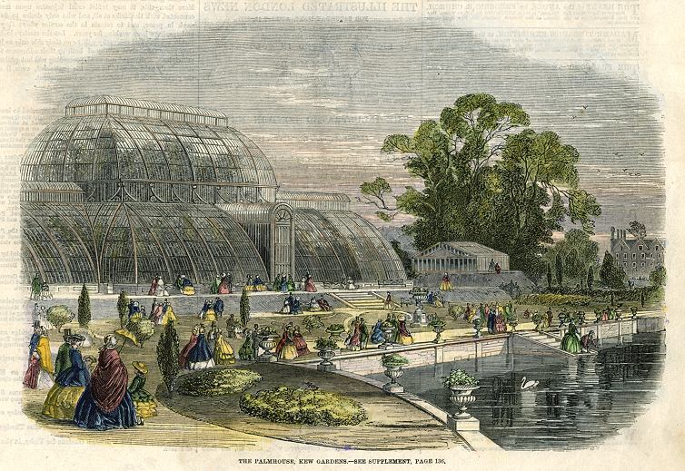 Kew Gardens, the Palmhouse, 1859