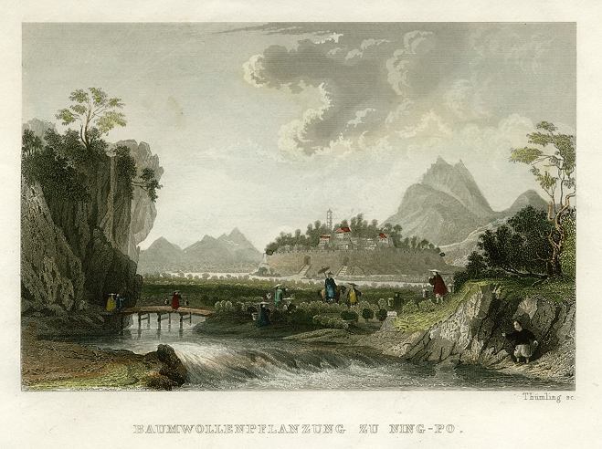 China, Cotton Plantations at Ning-Po, 1845