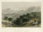 Cedars of Lebanon, 1840