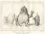 Arabia, Camels, 1847