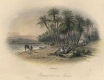 Sinai, Encampment at Akaba, 1849