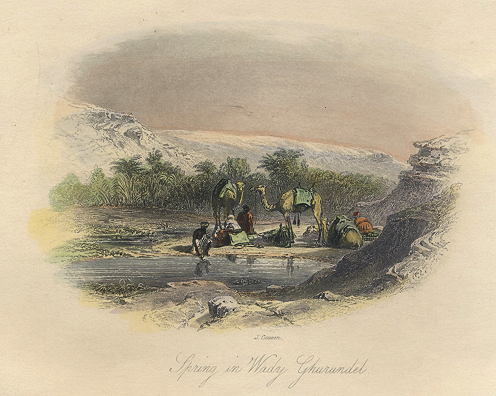 Sinai, Spring in Wadi Ghurundel, 1849