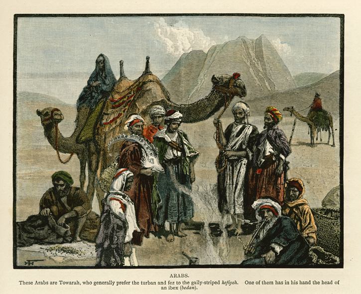 Sinai, Arabs and Camels, 1880