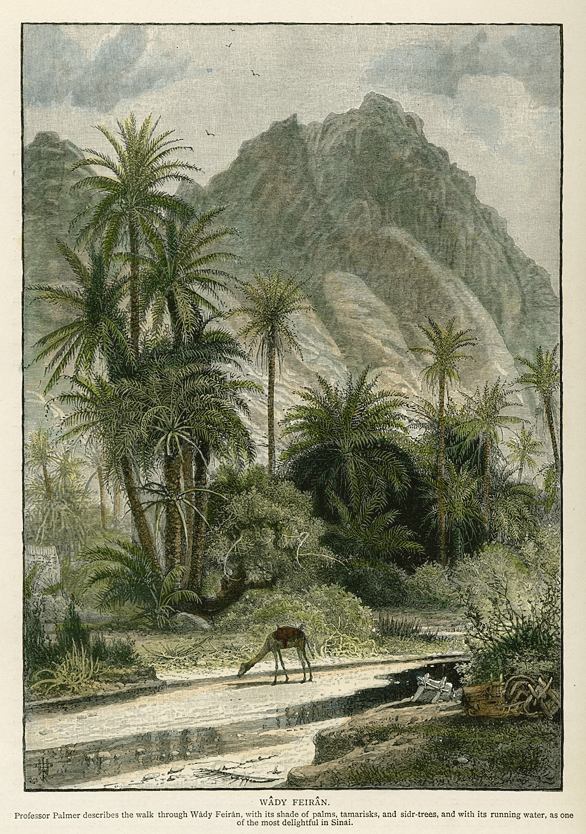 Sinai, Wadi Feiran, 1880