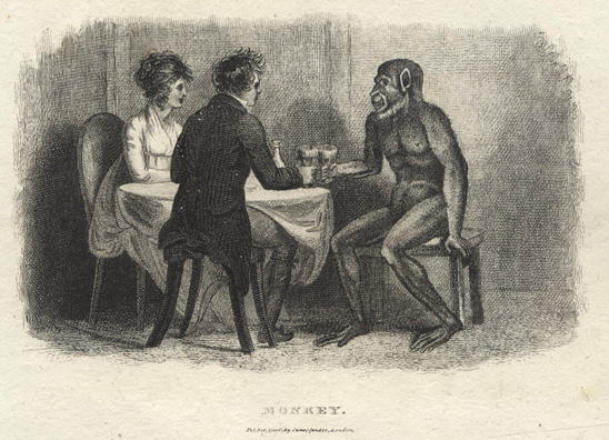 Monkey, at the table, 1806