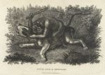 Monkey & Bulldog fighting, 1806