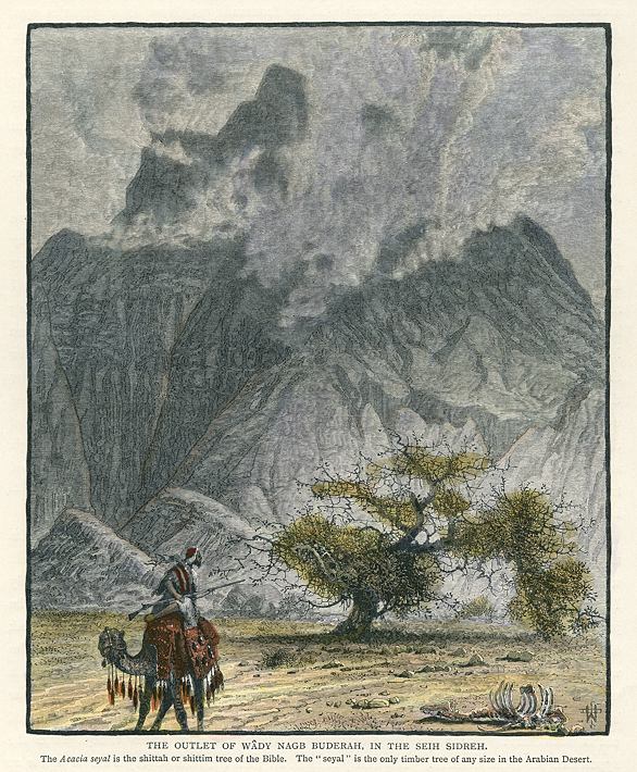 Sinai, Outlet of Wadi Nagb Buderah in the Seih Sidreh, 1880