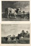 Cattle, two prints after pictures by Troyon, 1896