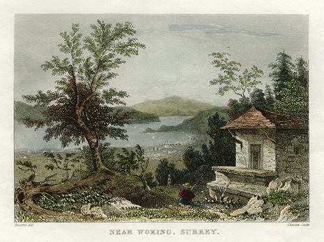 Surrey, view near Woking, 1848