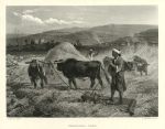 Holy Land, Threshing Corn, 1875