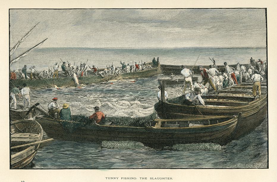 Sardinia, Tunny Fishing, 1891