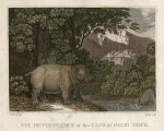 Africa, Hippopotamus of the Cape of Good Hope, 1807