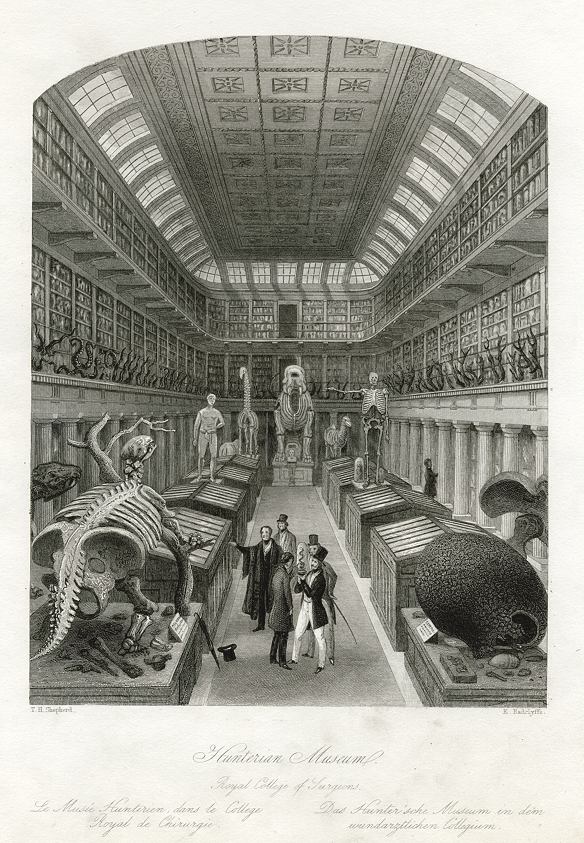 London, Hunterian Museum, 1841