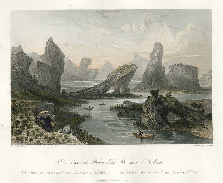 China, Bohea Hills in Fo-kien, 1843