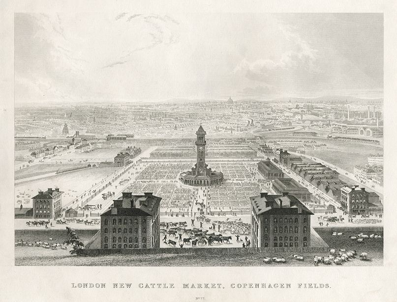 London, New Cattle Market, Copenhagen Fields, 1845