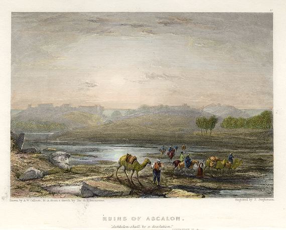 Holy Land, Ruins of Ascalon, 1836