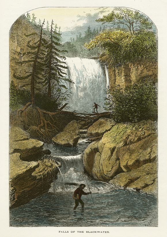 USA, WV, Falls of the Blackwater, 1875