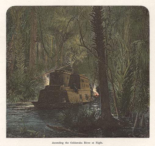 USA, Florida, the Ocklawaha River at Night, 1875