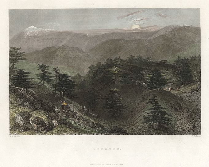 The Cedars of Lebanon, 1837