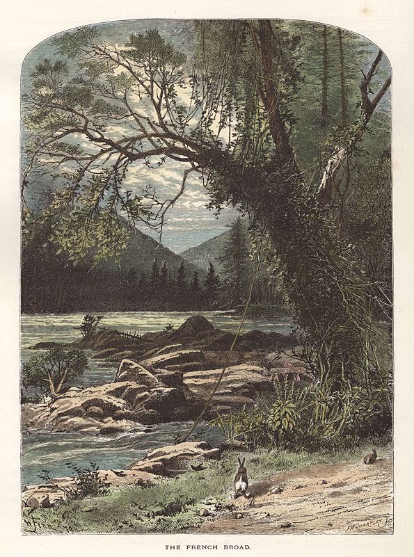 USA, North Carolina, The French Broad, 1875