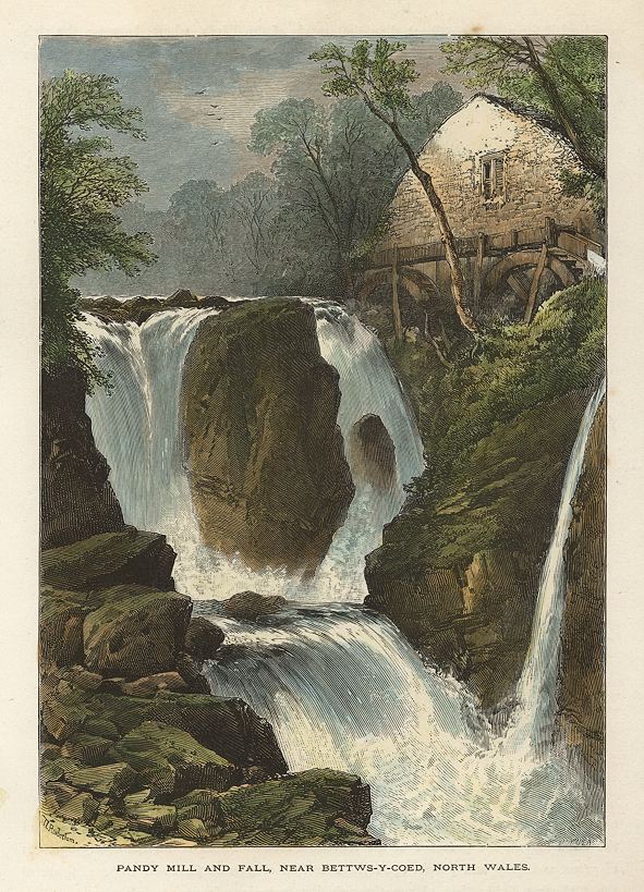 Wales, Pandy Mill and Fall near Betws-y-Coed, 1875