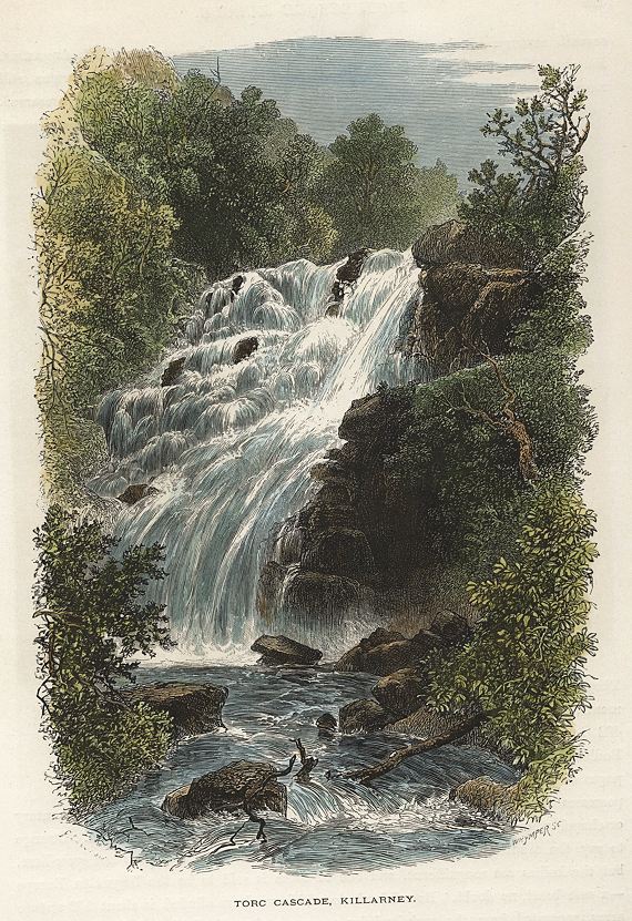 Ireland, Killarney, Torc Cascade, 1875