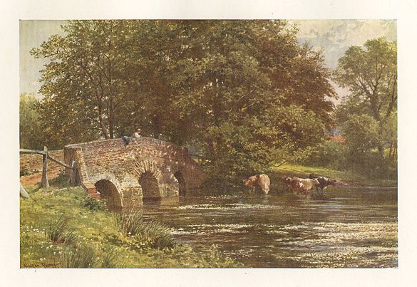 Surrey, Somerset Bridge, near Elstead, 1906