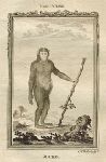 Jocko (Orang-Utan), after Buffon, 1785