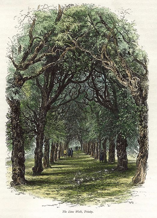 Oxford, The Lime Walk, Trinity, 1875