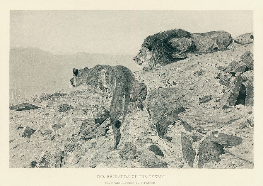 The Brigands of the Desert (Lions), after R.Friese, 1886