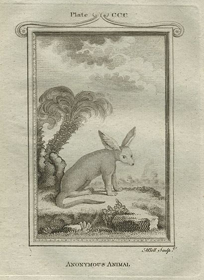 Anonymous Animal, after Buffon, 1785