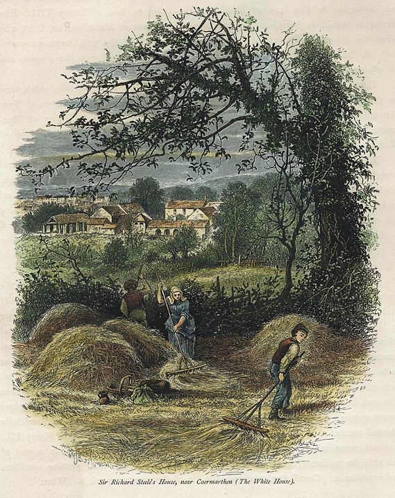 Wales, near Carmarthen, The White House, 1875