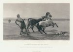 Ulysses Ploughing the Sea Shore, after Hardy, 1876