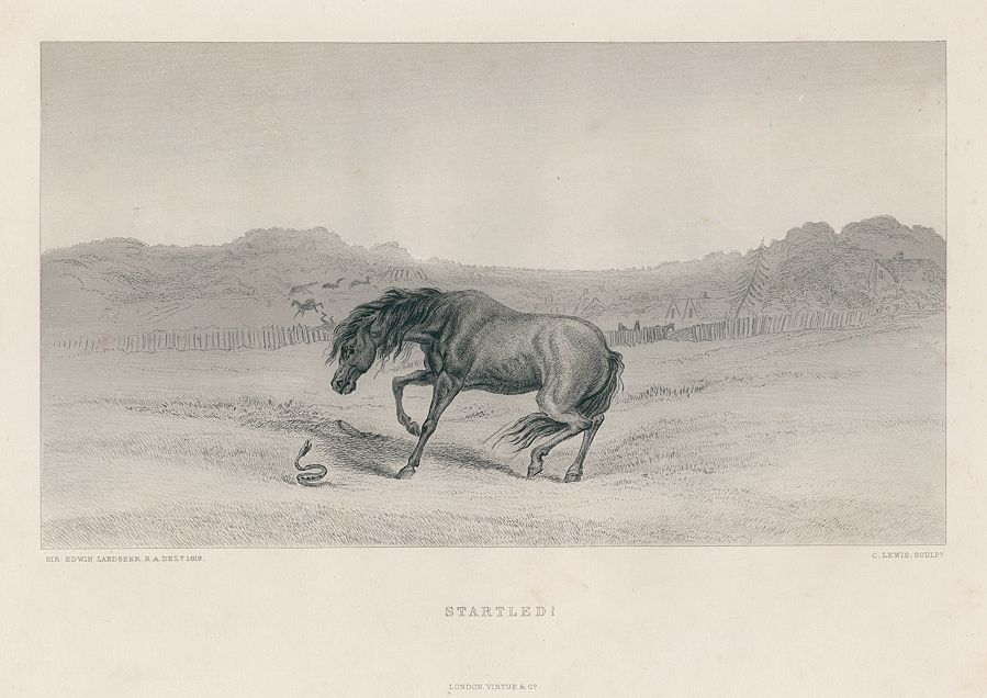 'Startled', horse after Landseer, 1868